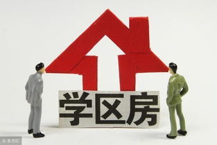 最新泰安市小區(qū)學區(qū)劃分明細表，速來轉(zhuǎn)發(fā)收藏！